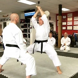 "CHI ISHI" is a traditional strength training tool from Okinawa - the birthplace of Karate 👊💥🇯🇵 | Jesse Enkamp