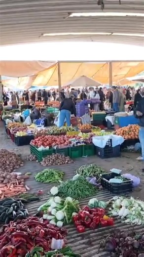 غلاء الأسعار في سوق الخضر بطنجة