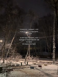 Winter Nighttime Serenity in a Snowy Scene