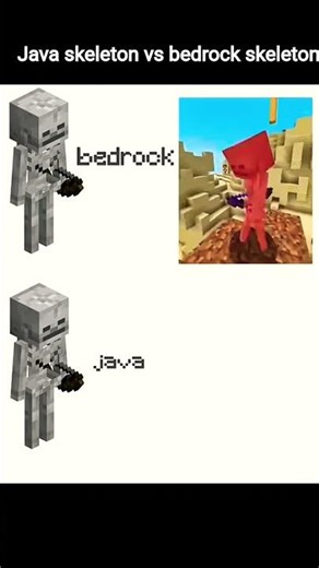 Java skeleton vs bedrock skeleton.#mincraft
