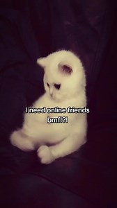 Looking for Online Friends: Connect Globally