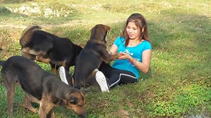 girl Care dog basic in village | Female Dog Care
