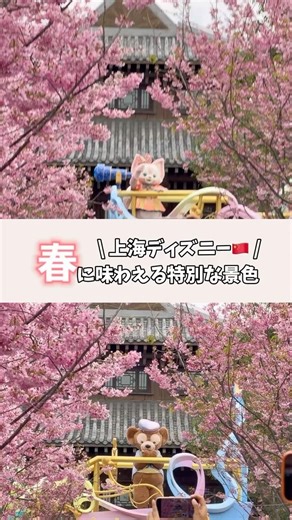 桜×ダッフィー&フレンズの最強コラボ #ディズニー #ディズニーランド #上海ディズニー #リーナベル #disney