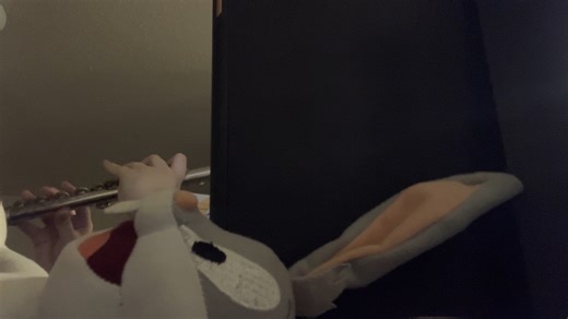 【长笛】视奏 莫扎特 小星星变奏曲