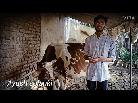 Body parts identification of cattle and buffalo | vet ayush | veterinary science