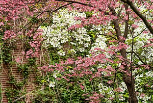 When is the first day of spring 2025? What to know about the vernal equinox