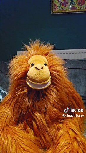 Meet Barry's New Backing Singers Karen & Sharon | Puppet Song