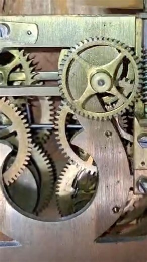 Mechanical Cuckoo Clock Gears #shorts #chime #cuckooclock #satisfying #horology #mechanism #vintage
