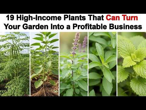These 19 Plants Can Turn Your Garden Into Monthly Income