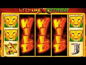 BIG WIN slot on WILD LIFE EXTREME Slot 🎰 | Savage Bonus Pays HUGE!