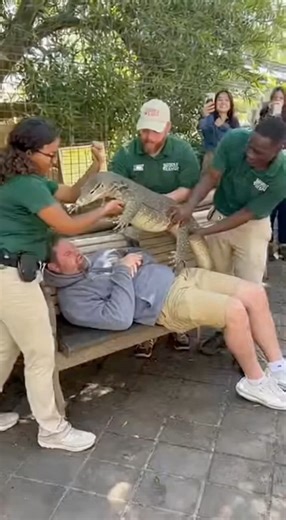 He Napped… They Put a GIANT Lizard on Him 🦎😱 #shorts #prank #wildlife