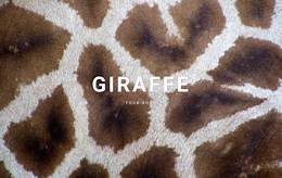 Giraffe facts - Html Code Example by Nicepage