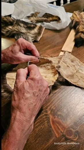 Making a Coonskin Cap #coonskincap #rurallife #countrylife #furhats #trapper #shorts #nature