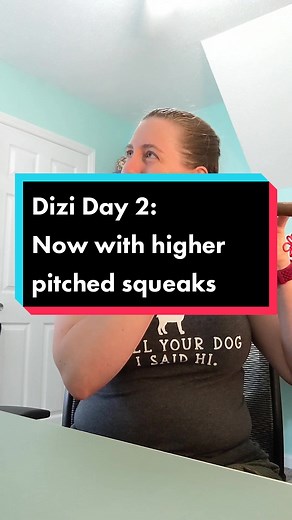 Learning the Dizi Flute: Techniques and Theory