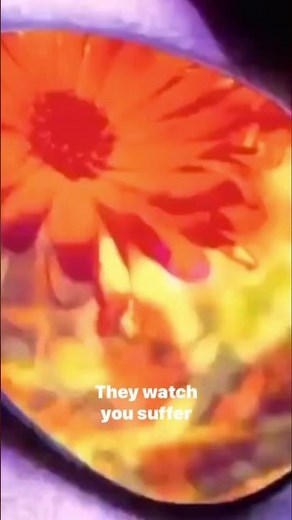 Candlebox “Far Behind” with lyrics. #90srock