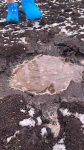 160K views · 440 reactions | 7 genius fall hacks for everyone | 5-Minute Crafts | Facebook