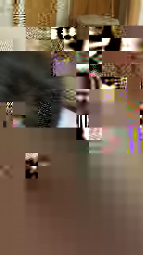 Dr Scott rushes to save a chipmunk that suddenly stopped breathing! 💔 #vetonthehill #chipmunk #vet #wildlife | Vet On The Hill