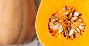 Butternut squash guide / A - Z of Veg / Riverford