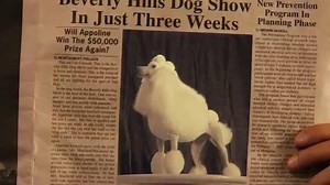 Watch Beverly Hills Chihuahua 2 Trailer on Amazon Live