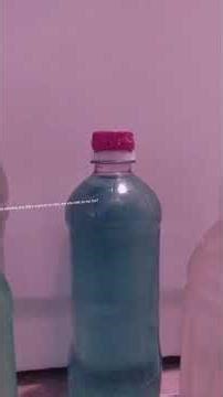 backstage scene for ringmaster, gem, majesty, Versailles & "tag team champions" gamblers.