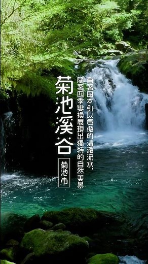 菊池溪谷 North Area KUMAMOTO 熊本縣北部駕車覽 短影片：趣味盎然的漫步景點④