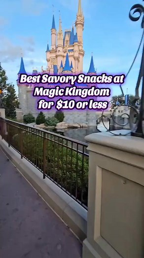 137K views · 1.2K reactions | These are my favorite Savory Snacks at Magic Kingdom. What's your favorite snack at Disney World? #magickingdom #disneyfood #disneysnacks #disneyfoodie #Foodie #disney2025 #snacks | Ani Ruiz | Facebook