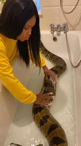 Bathing my anaconda after the party #fypシ゚viralシ #loveanimals #contentcreator #fblifestyle #aivideocreation 🥰 #everyonehighlightsfollowers | Peace Ibe