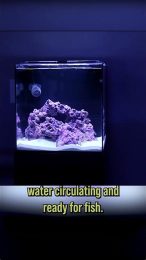 No Hassle. No Guessing.