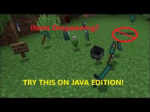 How to make items not to despawn in 5 Minutes In Minecraft Java Edition