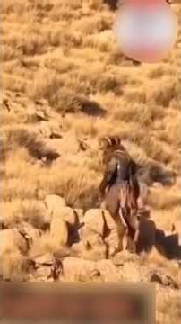 Mysterious Goatman-Like Creature Spotted on Camera