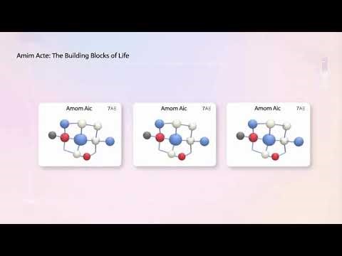 Proline Kinks - Amino Acids Song