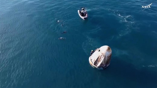 Dolphin pod welcomes NASA astronauts back to Earth