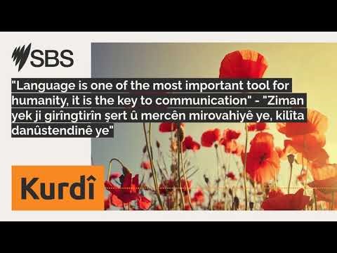 "Language is one of the most important tool for humanity, it is the key to communication" -...