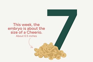 Week 7 of Your Pregnancy