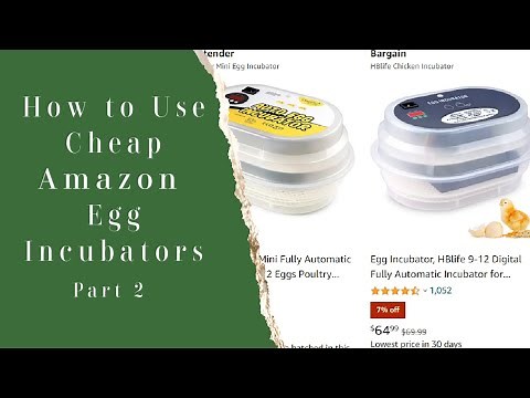Cheap Amazon 12 Egg Incubator [How To Use]
