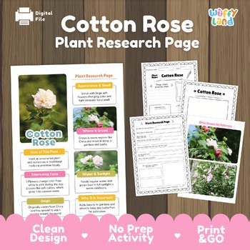 Cotton Rose Plant Research Page | Flower Life Cycle Activity | Science & Botany