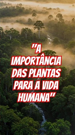 🌿"A IMPORTÂNCIA DAS PLANTAS PARA A VIDA HUMANA"#plantas#curiosidades #natureza #fotossintese
