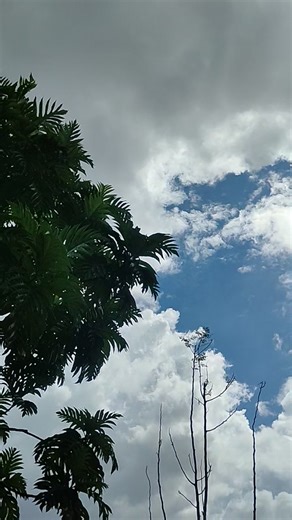 Koyaw jd ning boss ni Jason Requiz Sentorias | Junz Works