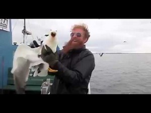 Fisherman catches seagull mid air