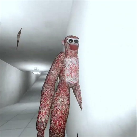 Lethal vortex level 4 monster. / the unknown Jumpscare