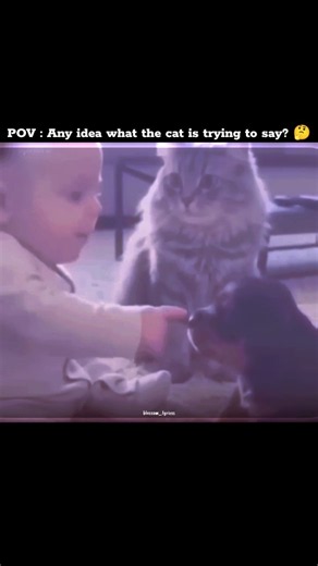 The baby kisses the dog before giving him a playful scolding—too cute to handle #respect #trending