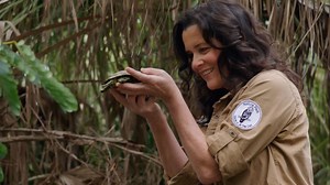 Turtle Tale - Apple TV