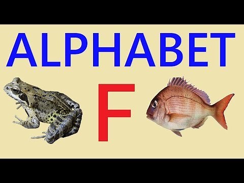 Learning Alphabet F ......F for FISH..... F for FROG