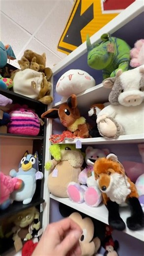 Pokemon Eevee Plush Find