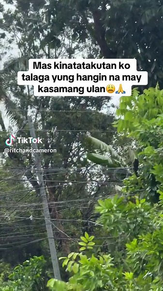 Ritch Jordan💧 (@ritchandcameron)’s videos with Calamity - Perfect, so dystopian