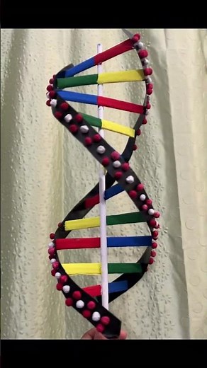 3d DNA models 🧬#comment for materials used #dna #sciencemodel #3dmodels