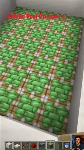 This Minecraft Pool Is Actually Hidden! #shorts