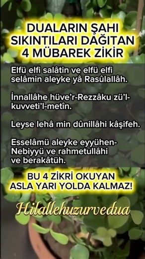 Duaların Şahı: Sıkıntıları Dağıtan 4 Mübarek Zikir