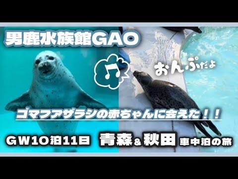 【秋田県 男鹿水族館GAO】犬連れ車中泊の旅 [Oga Aquarium GAO, Akita]#秋田 #水族館 #車中泊 #軽自動車