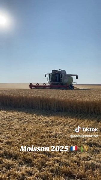 La Moisson 2025 : Une Saison en Agriculture